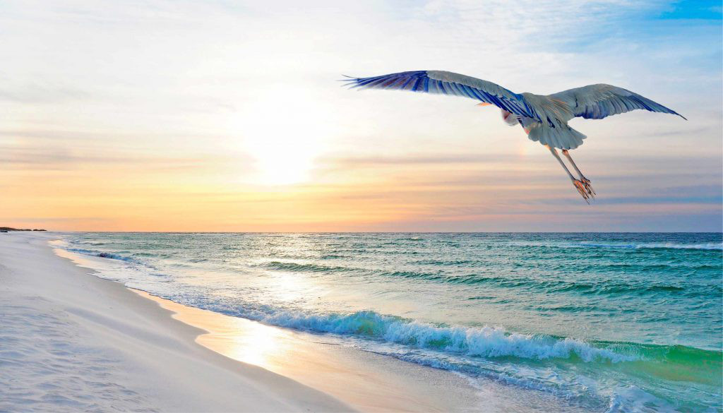 Top 5 Must-Do’s at Prominence, a Watersound Community