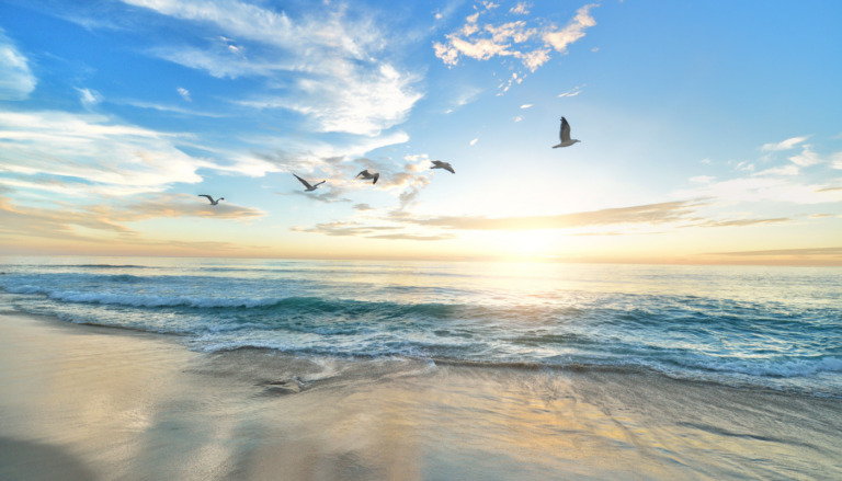 The Ultimate Guide to the Beaches of 30A