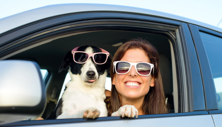Our Top Tips for Traveling with Pets
