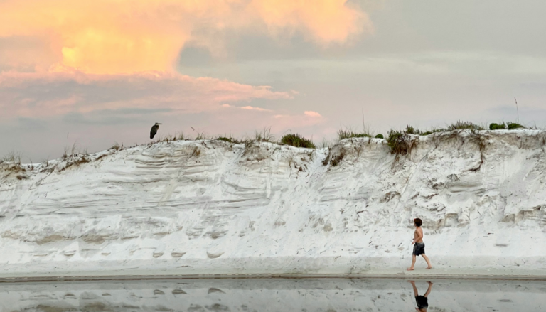 Exploring 30A State Parks: A Must on Your Trip to South Walton