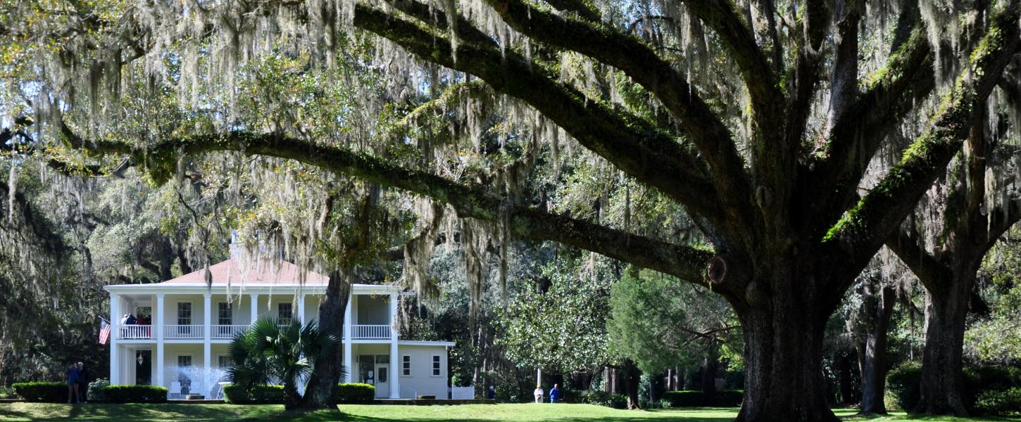 Things To Do Eden Gardens State Park