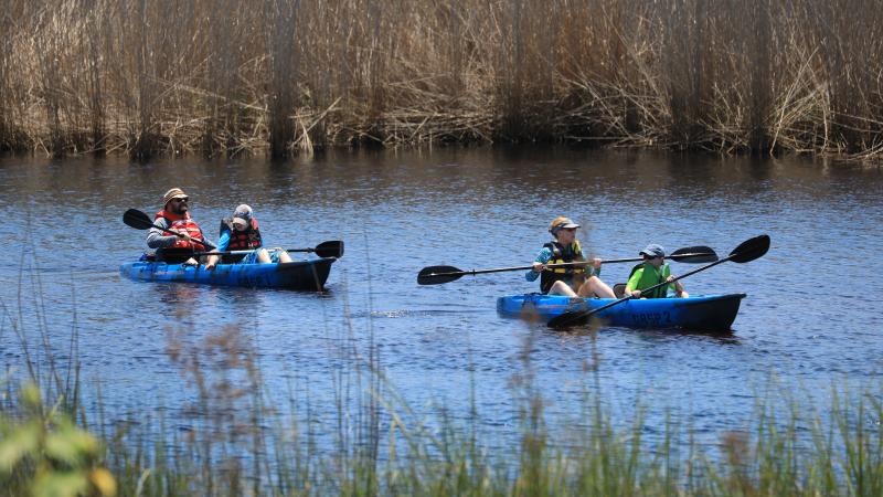 Things To Do Grayton Beach State Park