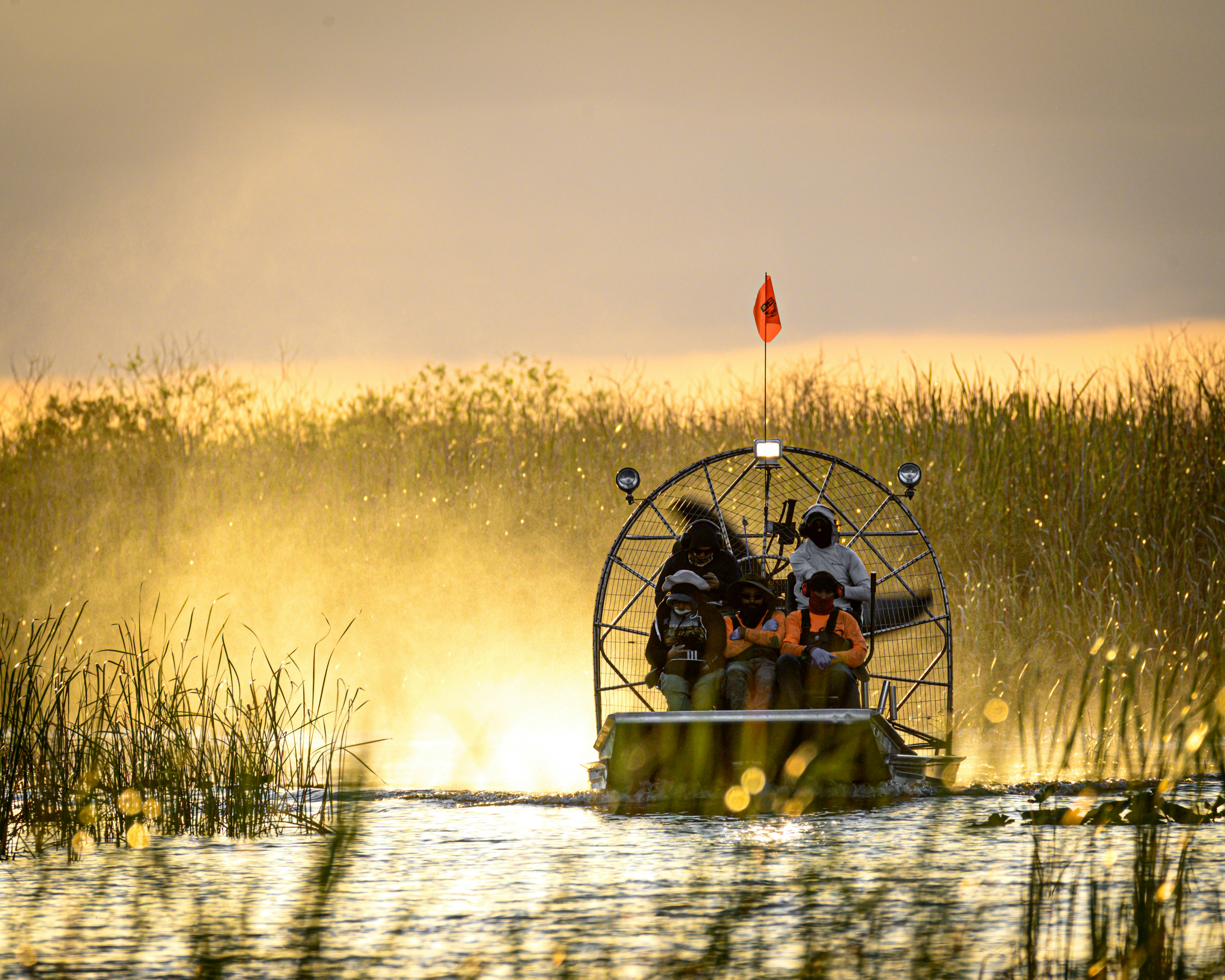 Things To Do Airboat Adventures