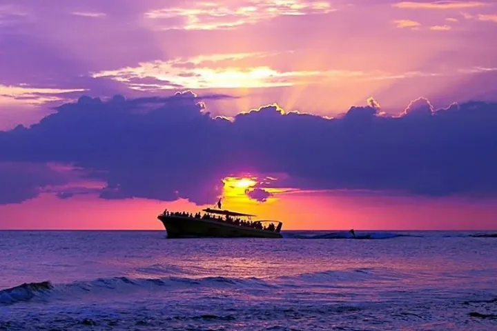 Things To Do Sea Screamer Dolphin Cruises