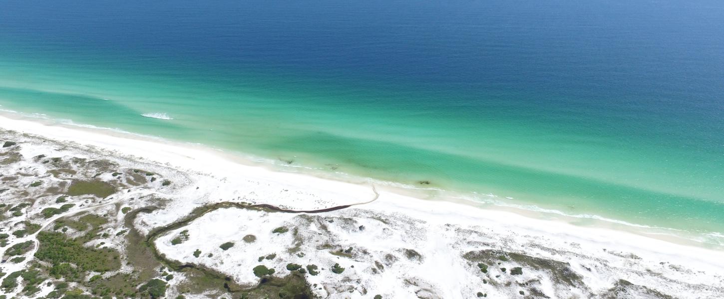 Things To Do Topsail Hill Preserve State Park