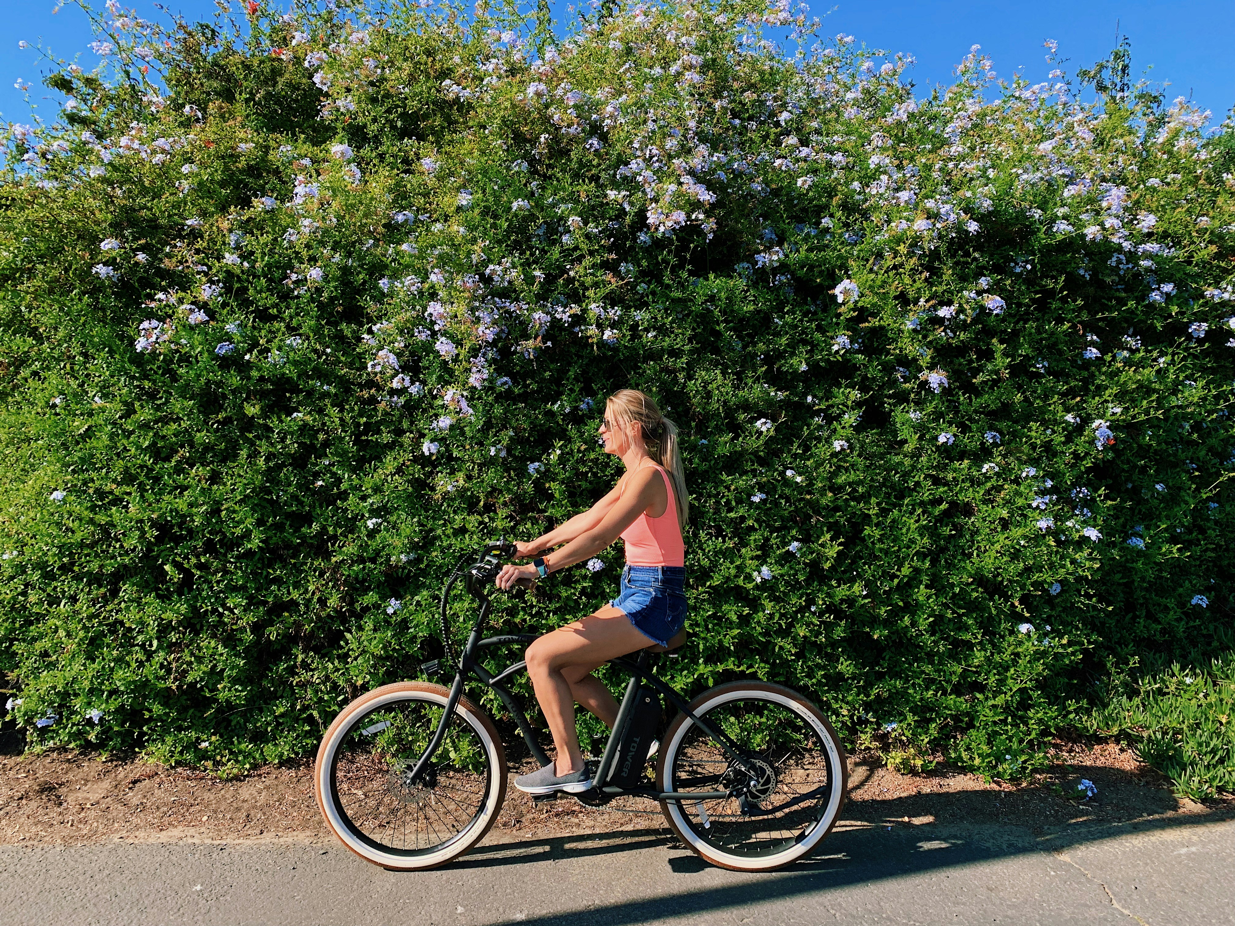 Things To Do Emerald Coast Ebikes